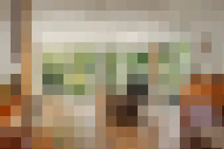 Deventerweg 19 Gorssel thumbnail 11