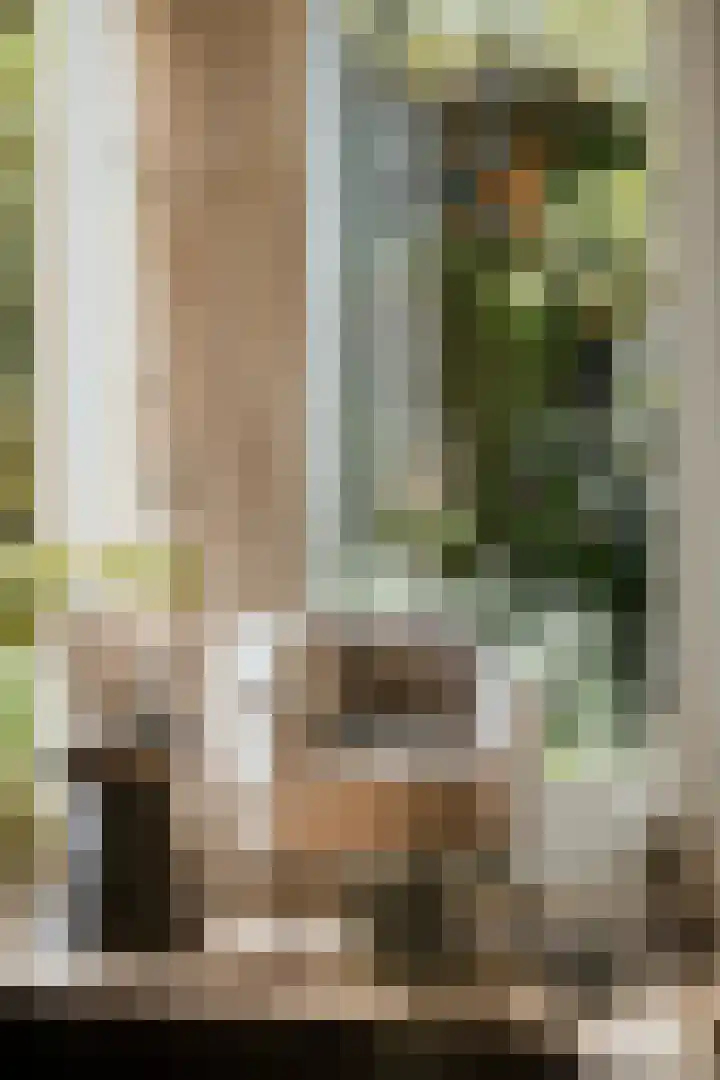 Deventerweg 19 Gorssel thumbnail 12