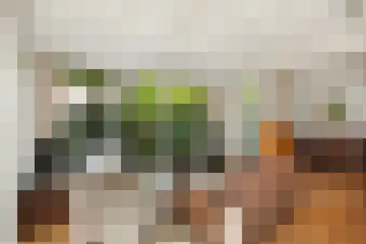 Deventerweg 19 Gorssel thumbnail 14
