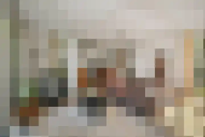 Deventerweg 19 Gorssel thumbnail 17