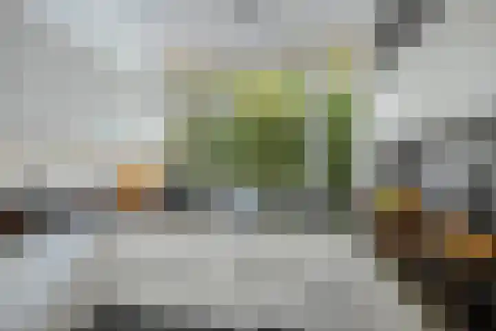 Deventerweg 19 Gorssel thumbnail 21