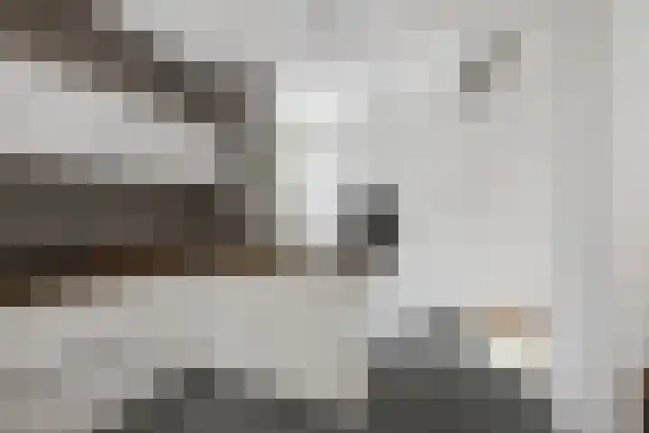 Deventerweg 19 Gorssel thumbnail 23