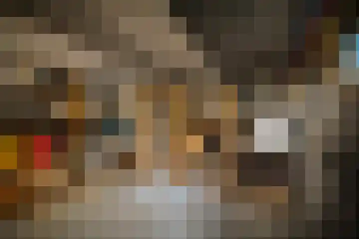 Deventerweg 19 Gorssel thumbnail 26