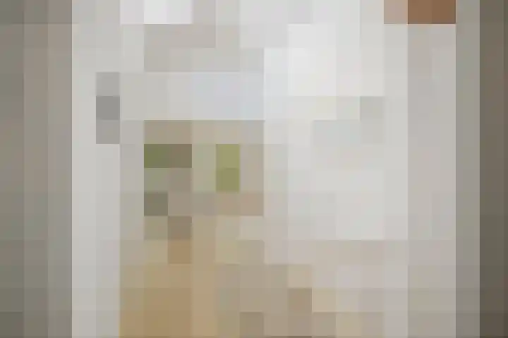 Deventerweg 19 Gorssel thumbnail 27