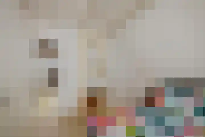 Deventerweg 19 Gorssel thumbnail 32