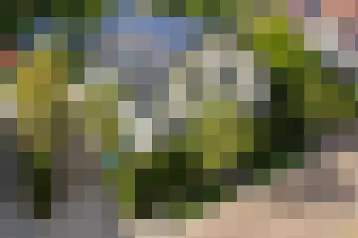 Deventerweg 19 Gorssel thumbnail 4