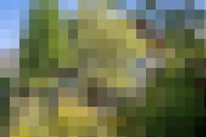Deventerweg 19 Gorssel thumbnail 41
