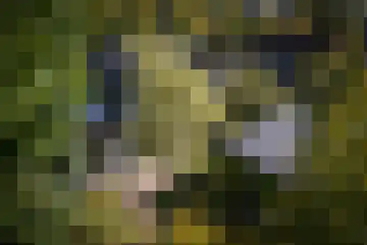 Deventerweg 19 Gorssel thumbnail 42
