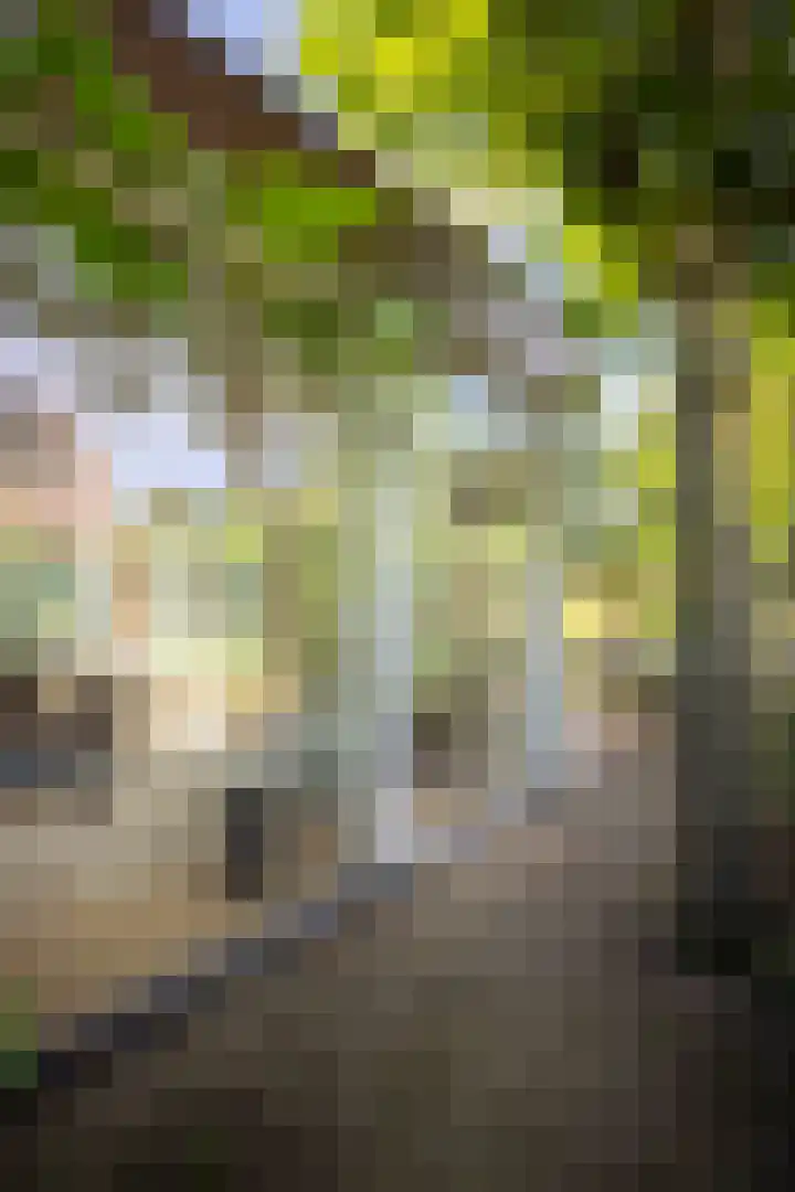 Deventerweg 19 Gorssel thumbnail 43