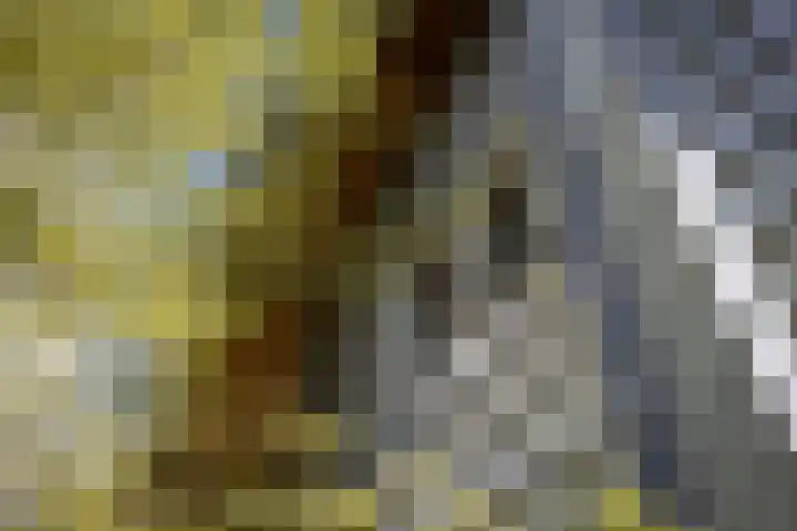 Deventerweg 19 Gorssel thumbnail 44