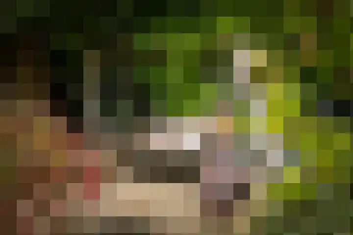 Deventerweg 19 Gorssel thumbnail 45