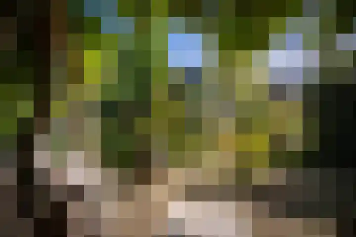 Deventerweg 19 Gorssel thumbnail 46