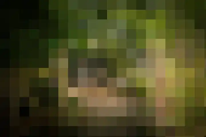 Deventerweg 19 Gorssel thumbnail 47