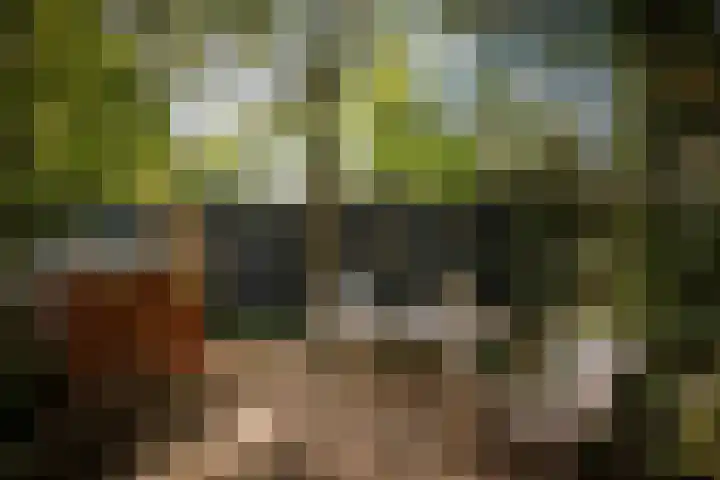 Deventerweg 19 Gorssel thumbnail 48