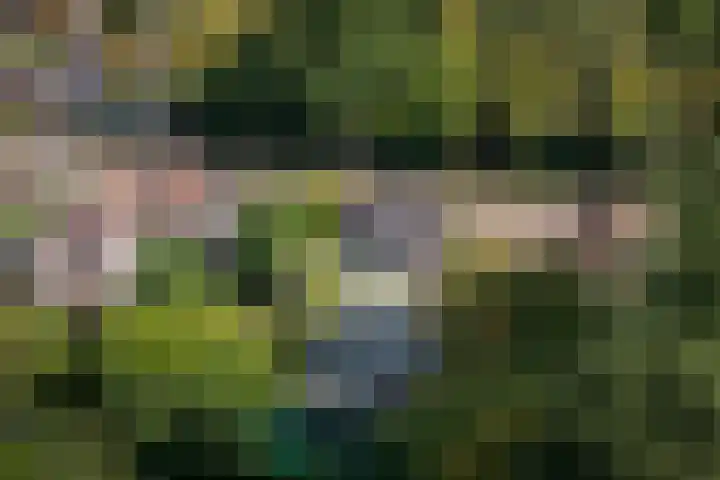 Deventerweg 19 Gorssel thumbnail 52