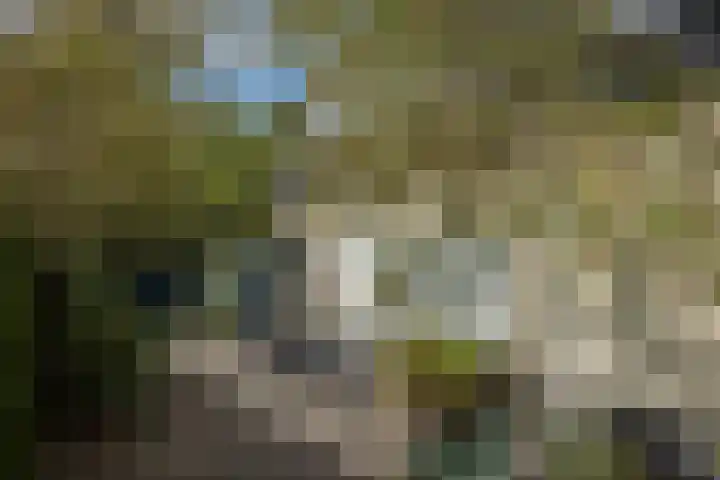 Deventerweg 19 Gorssel thumbnail 6