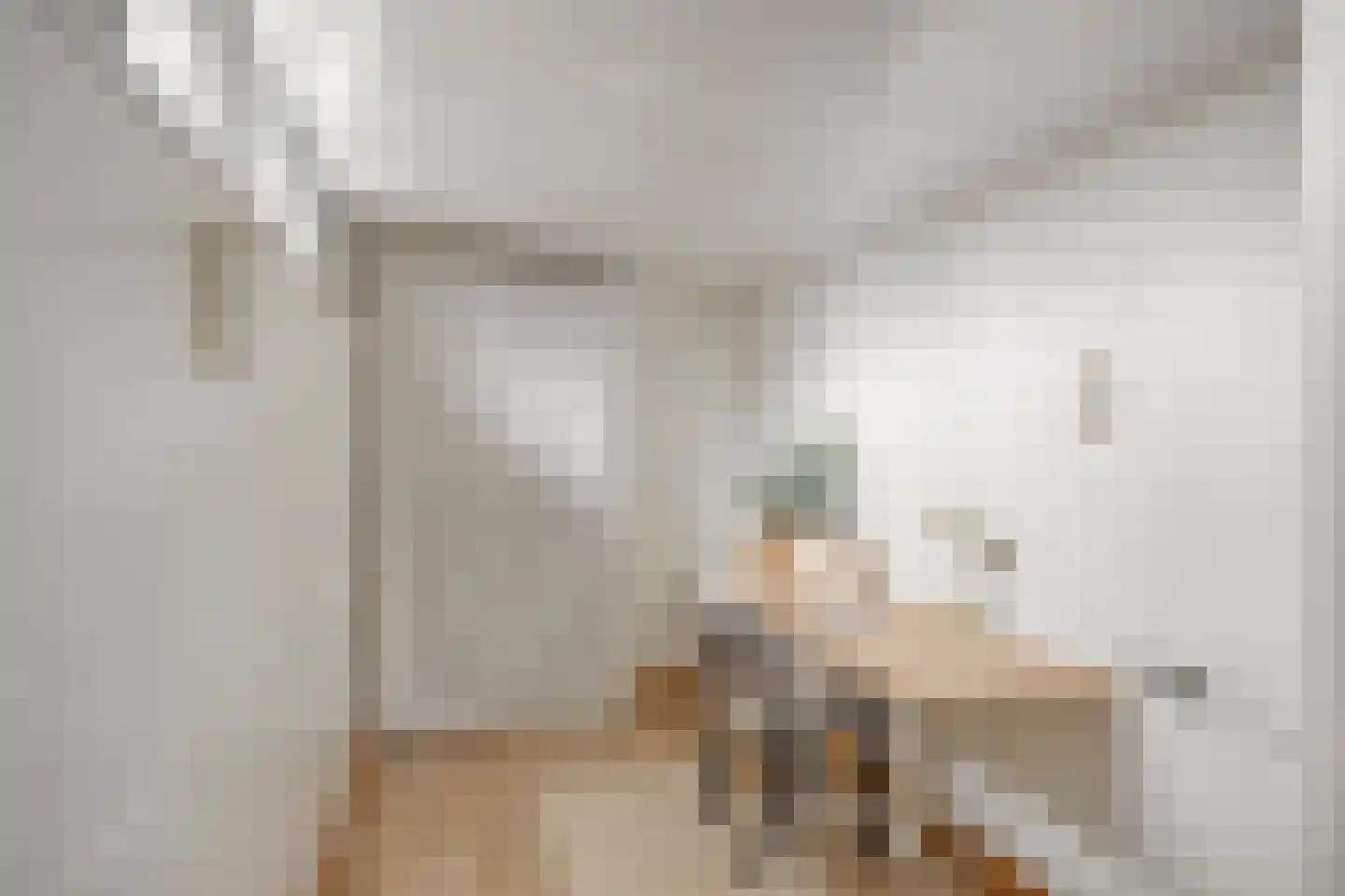 Deventerweg 193 Zutphen thumbnail 10