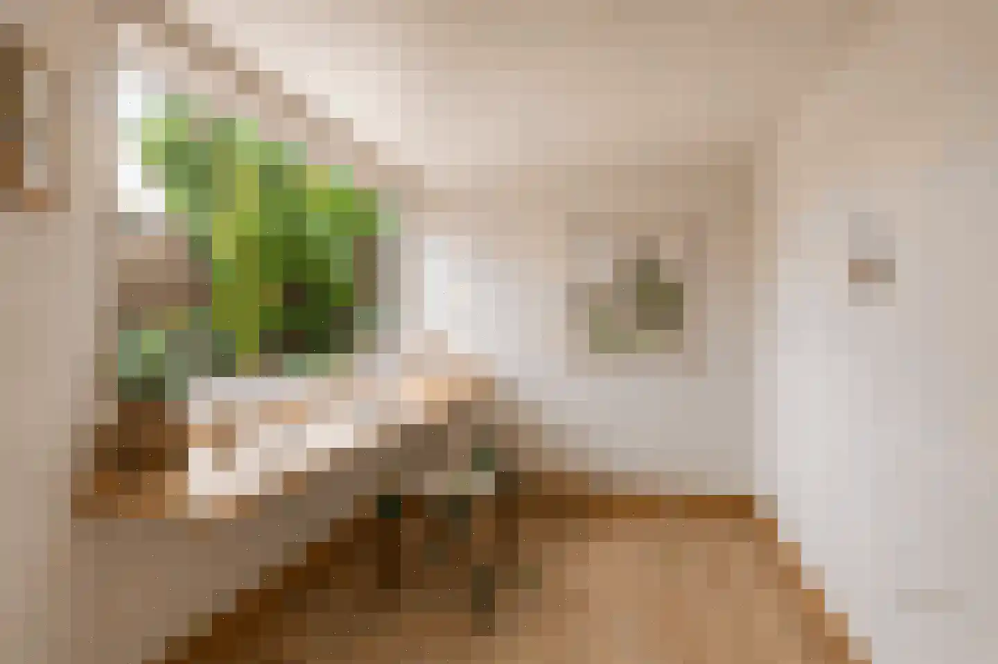 Deventerweg 193 Zutphen thumbnail 11