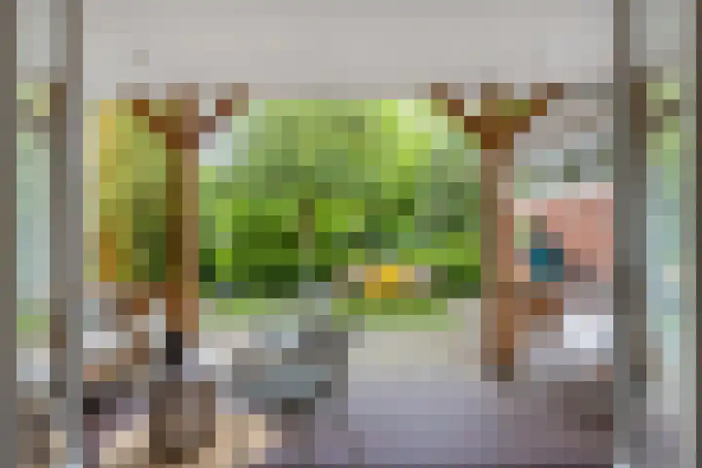 Deventerweg 193 Zutphen thumbnail 20