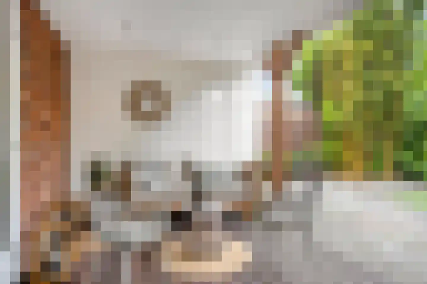 Deventerweg 193 Zutphen thumbnail 23