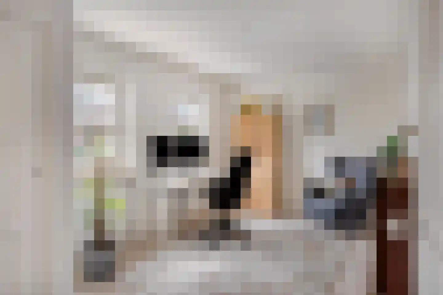 Deventerweg 193 Zutphen thumbnail 28