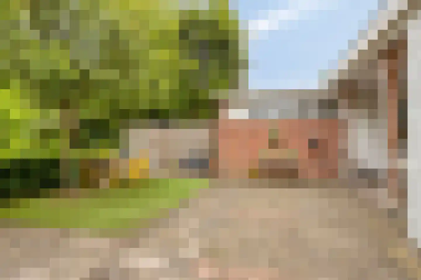 Deventerweg 193 Zutphen thumbnail 39