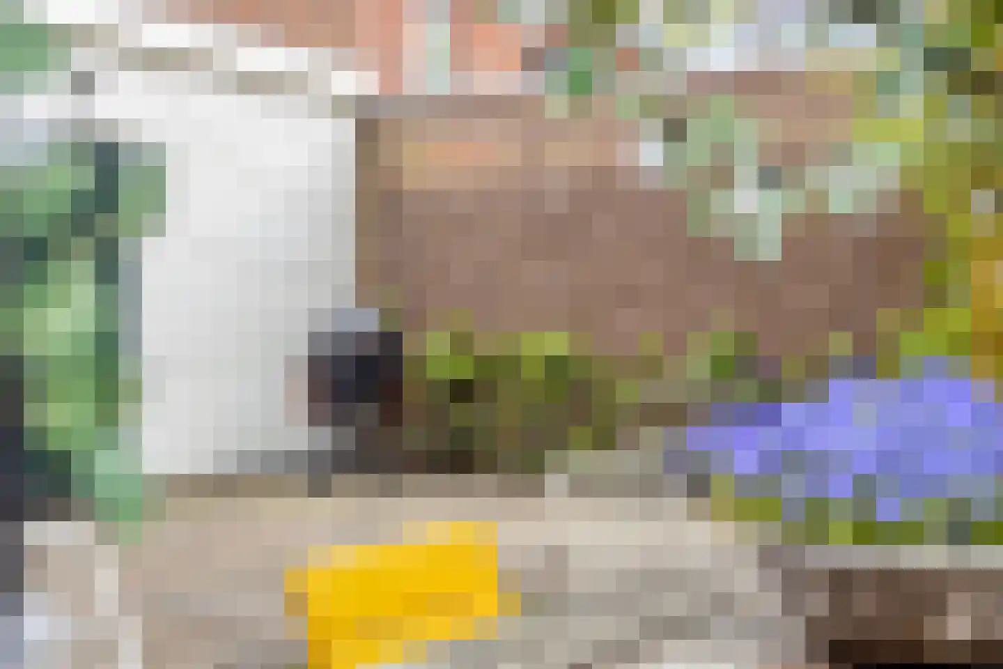 Deventerweg 193 Zutphen thumbnail 43