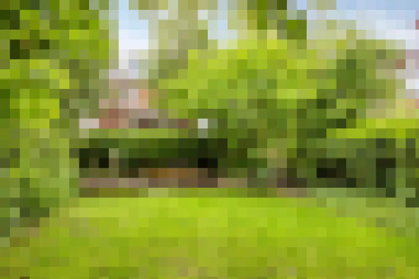 Deventerweg 193 Zutphen thumbnail 44