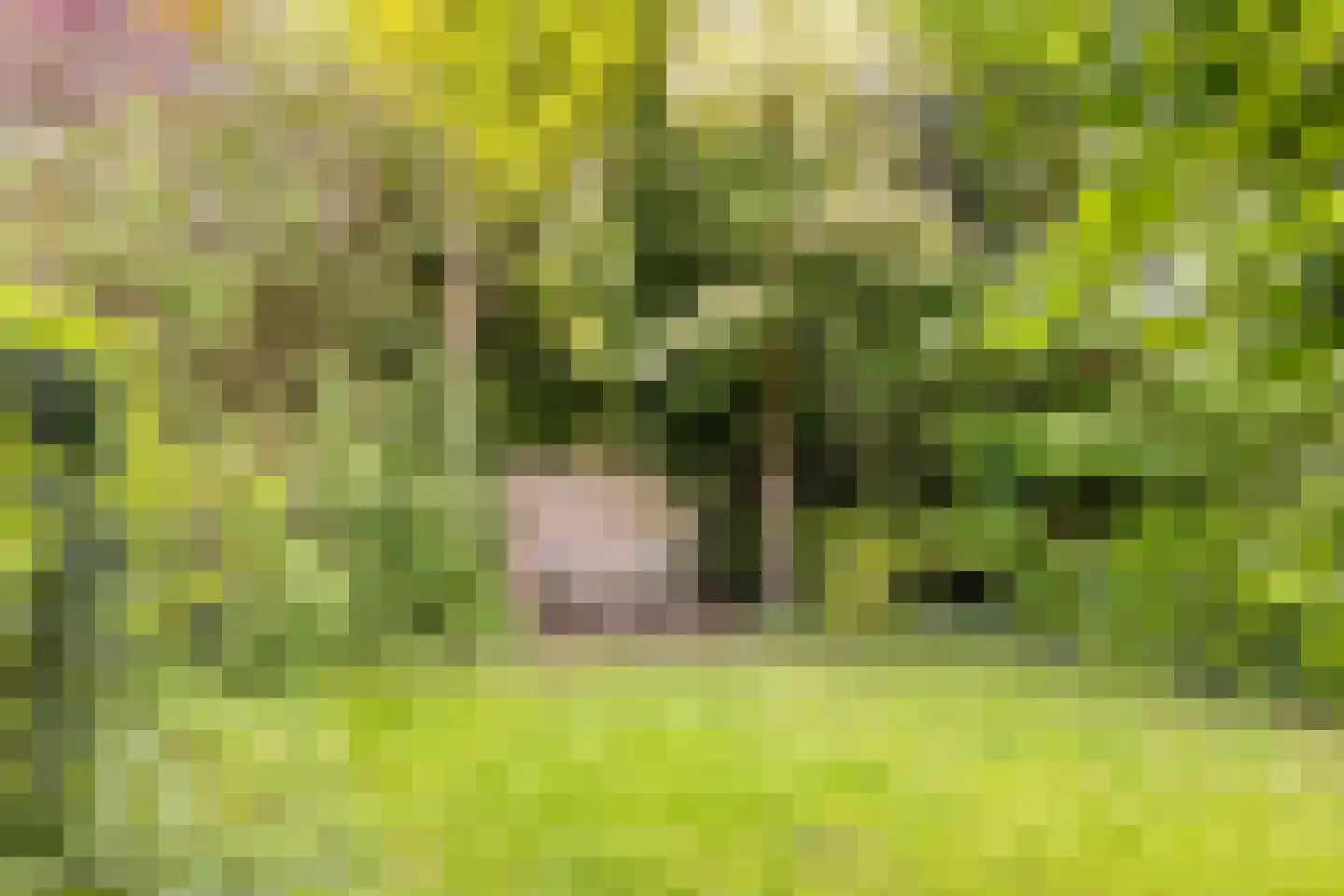 Deventerweg 193 Zutphen thumbnail 45