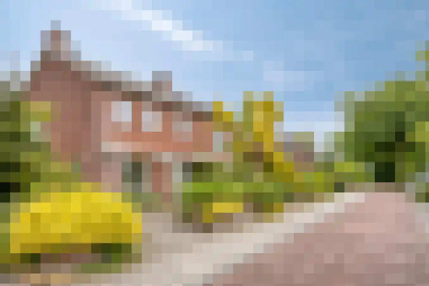 Deventerweg 193 Zutphen thumbnail 46
