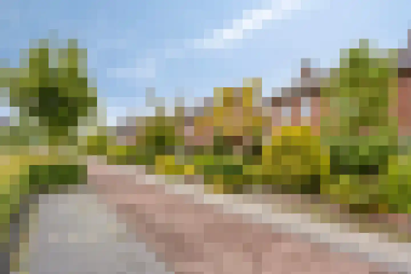Deventerweg 193 Zutphen thumbnail 48