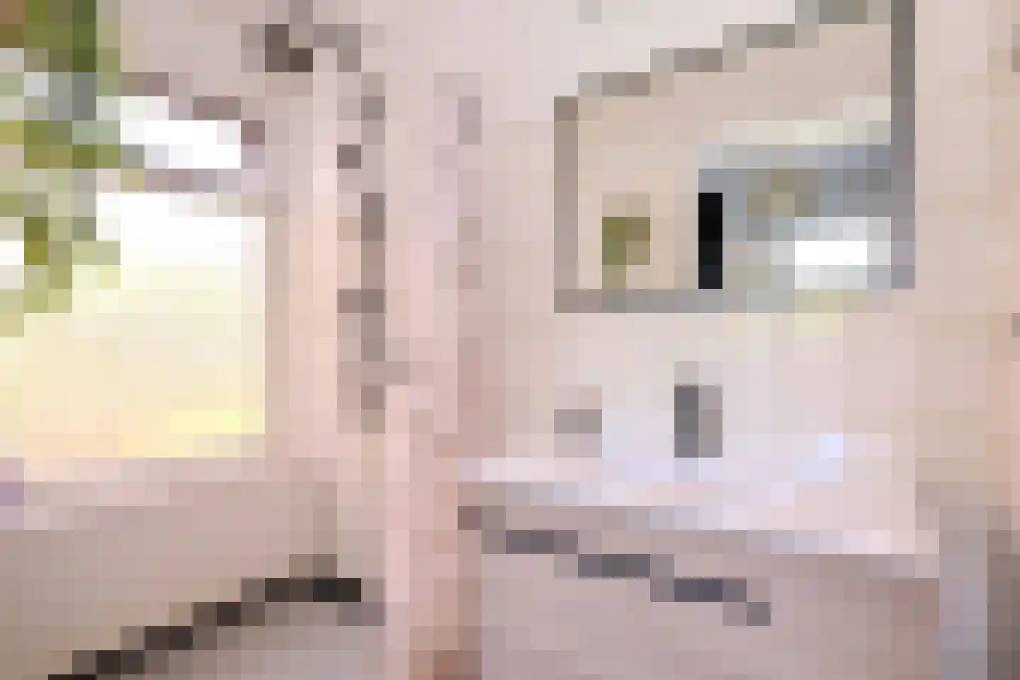 Deventerweg 2 Bathmen thumbnail 18