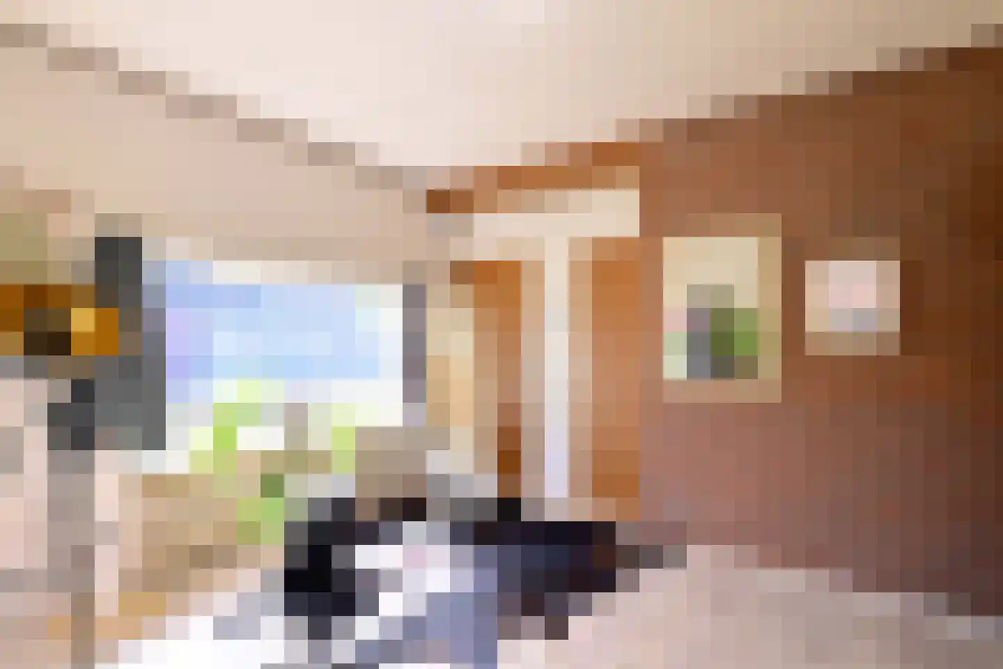Deventerweg 2 Bathmen thumbnail 4
