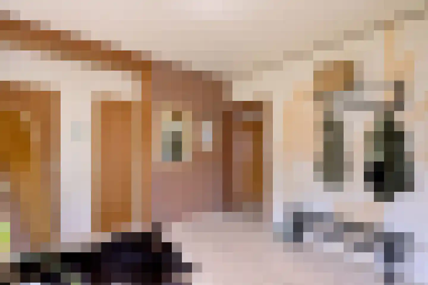 Deventerweg 2 Bathmen thumbnail 5