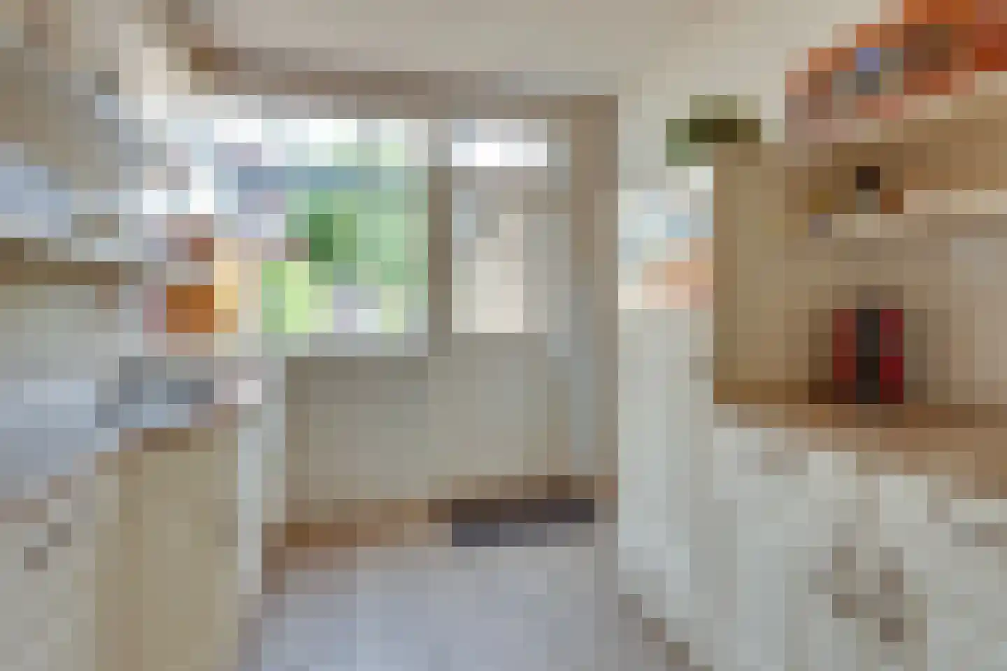 Deventerweg 20 Laren thumbnail 18