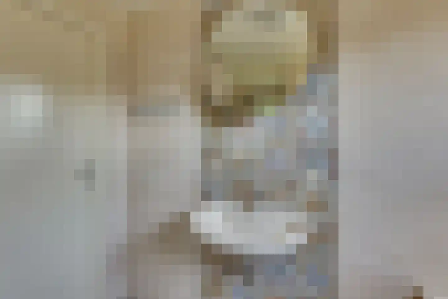Deventerweg 20 Laren thumbnail 25