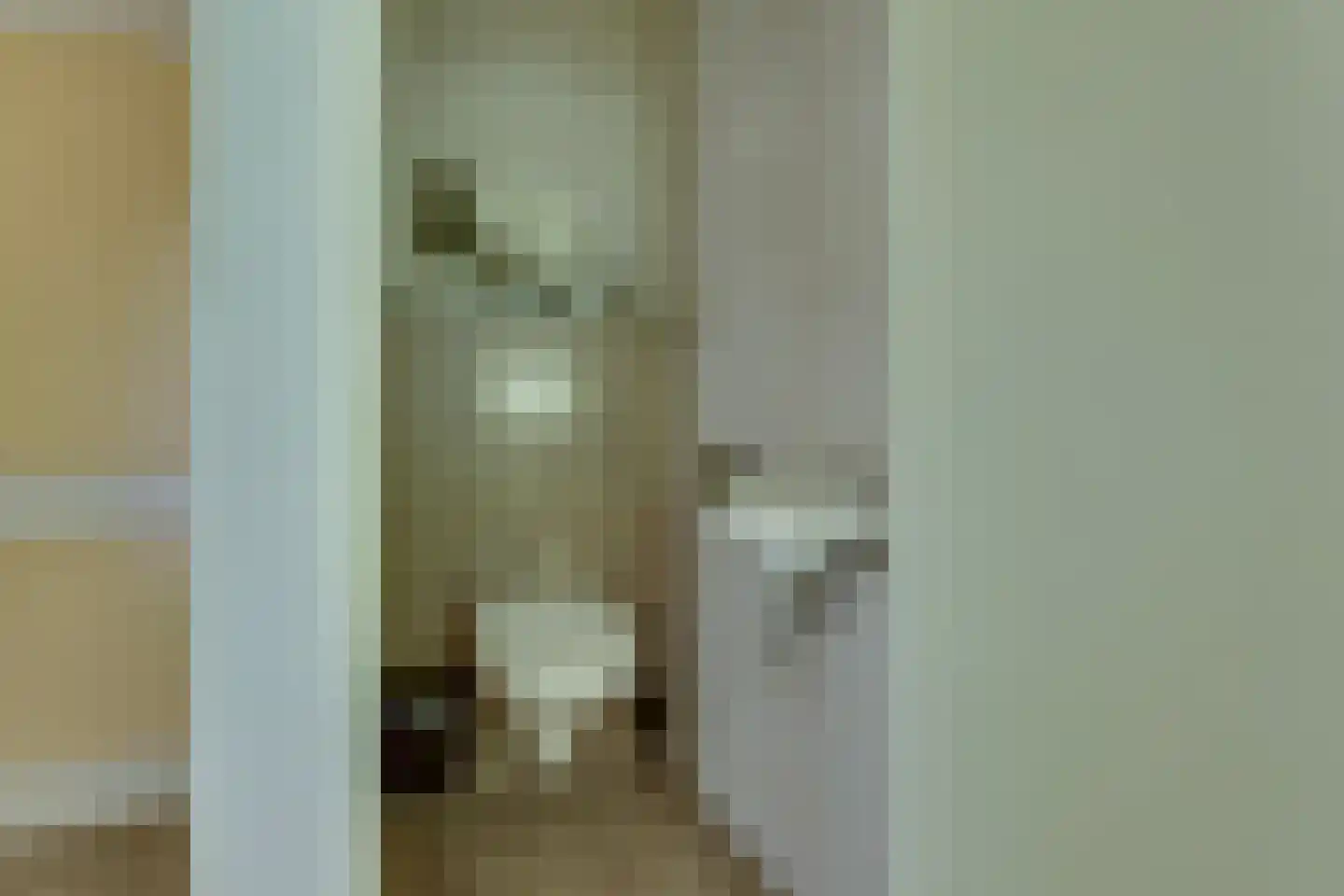 Deventerweg 20 Laren thumbnail 27
