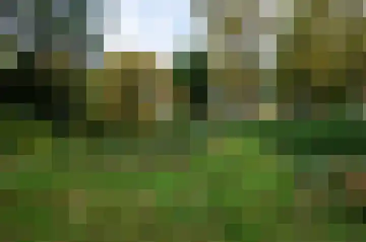 Deventerweg 22 Gorssel thumbnail 5