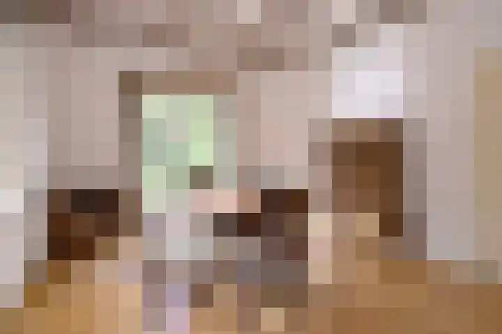 Deventerweg 23 Gorssel thumbnail 11