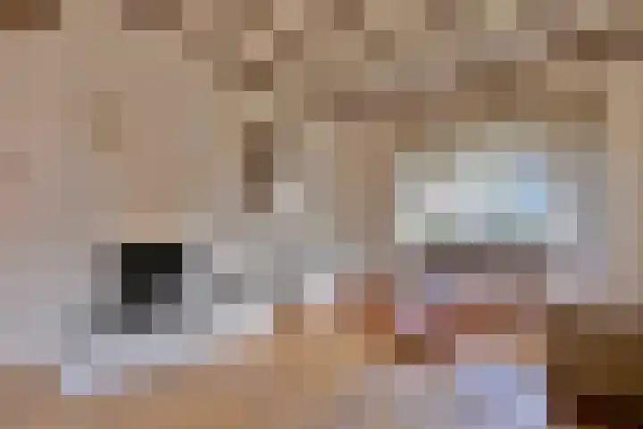 Deventerweg 23 Gorssel thumbnail 13