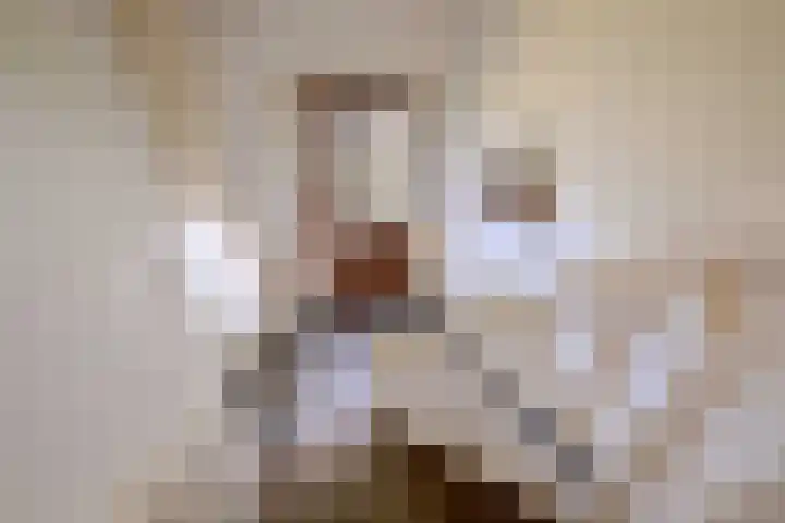 Deventerweg 23 Gorssel thumbnail 18