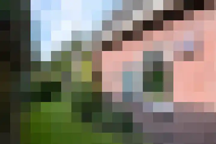 Deventerweg 23 Gorssel thumbnail 33