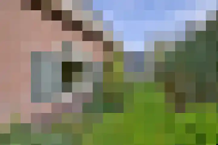 Deventerweg 23 Gorssel thumbnail 34