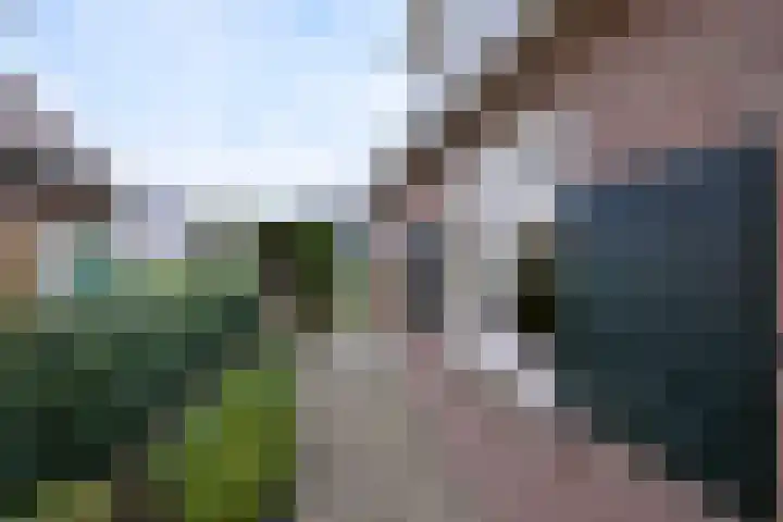 Deventerweg 23 Gorssel thumbnail 36