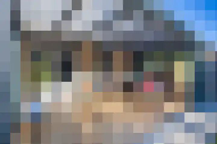 Deventerweg 23 Gorssel thumbnail 37