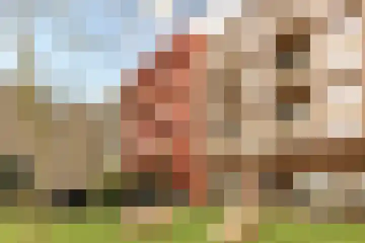 Deventerweg 23 Gorssel thumbnail 39