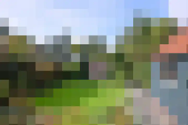 Deventerweg 23 Gorssel thumbnail 4