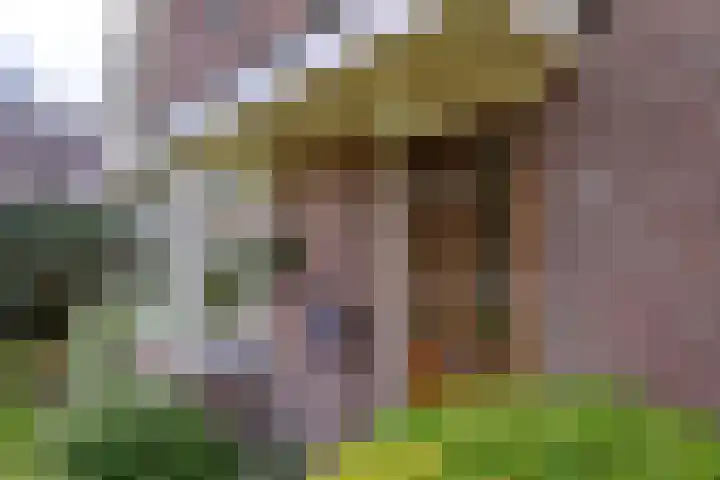 Deventerweg 23 Gorssel thumbnail 6