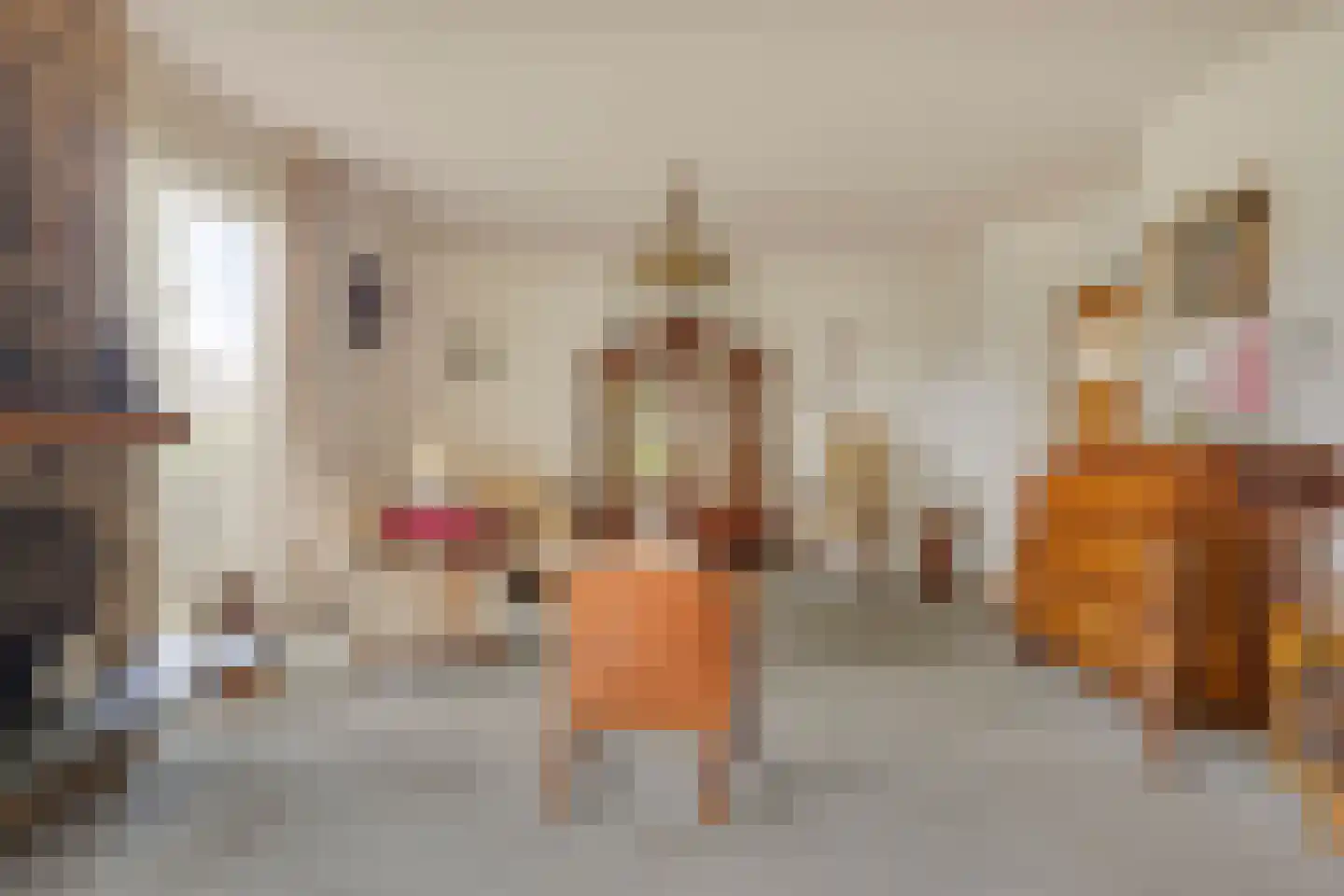 Deventerweg 23 Laren thumbnail 10