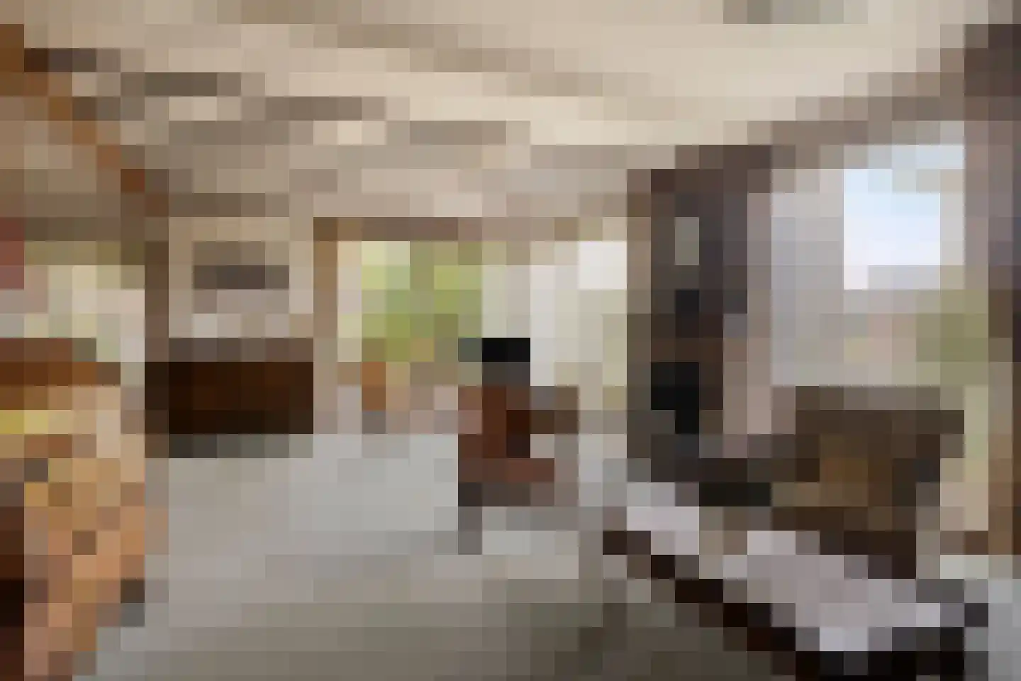 Deventerweg 23 Laren thumbnail 11